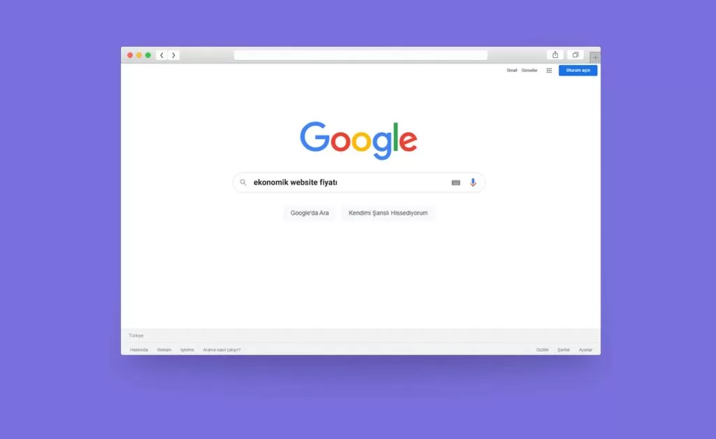 Ekonomik Website Fiyati